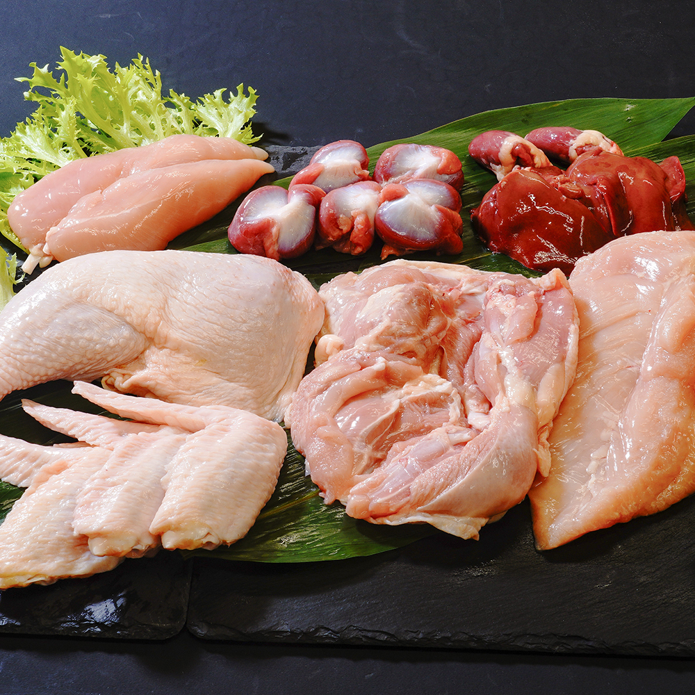 高知のはちきん地鶏・土佐ジロー・鶏肉の通信販売 | 有限会社中村食鳥