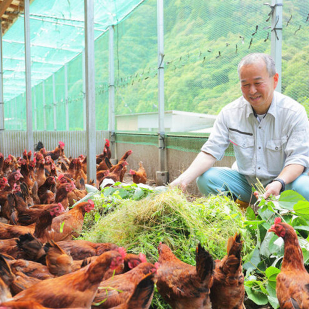 高知のはちきん地鶏・土佐ジロー・鶏肉の通信販売 | 有限会社中村食鳥